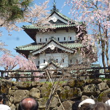 桜に弘前城