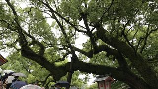 洗練された気持ちになる太宰府天満宮