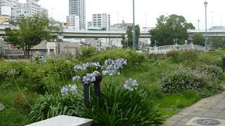 都会のオアシス