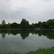 大きな池があります