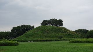 上からは忍城が見えます