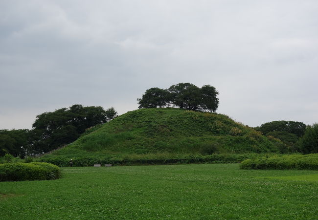 丸墓山古墳 クチコミ アクセス 営業時間 行田 羽生 加須 フォートラベル 丸墓山古墳 クチコミ アクセス 営業時間 行田 羽生 加須 フォートラベル