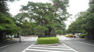 大正時代　なにもない荒地？