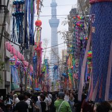 かっぱ橋本通りの真正面には東京スカイツリーが…