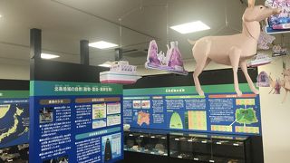 北条鹿島博物展示館／愛媛