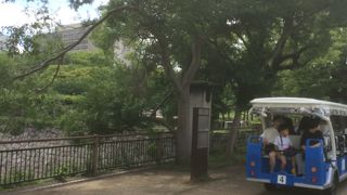 広大な公園