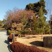 日本の多種多様な植生を知って鑑賞も出来て、たいへんおすすめ