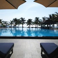 朝のメインプールの様子