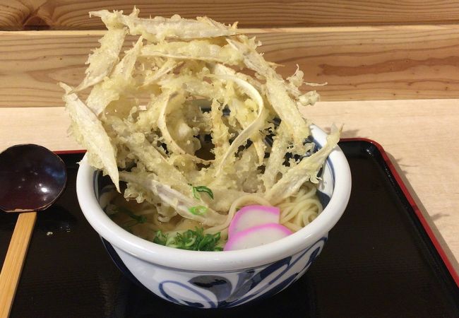 豊前裏打会 萬田うどん クチコミ アクセス 営業時間 博多 フォートラベル