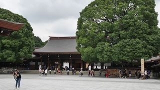 外人さんが多すぎる