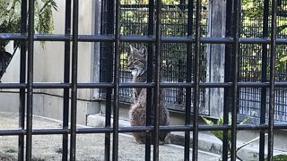 写真が撮りづらい