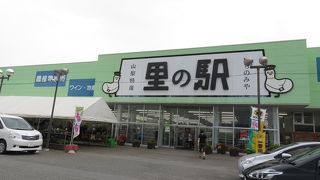 野菜買いました