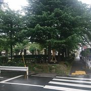 都心の公共公園