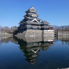 天守閣バックに様々な写真、撮れますよ