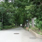 線路沿いの公園