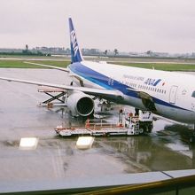 搭乗するのはNH738便大阪伊丹空港行き、B767-300。