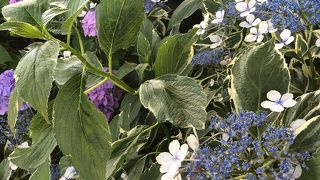 港の見える丘公園