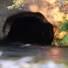 夕日がさしてました。一瞬でした。