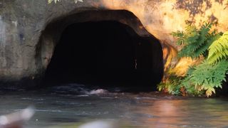 まさか飯盛山の中に