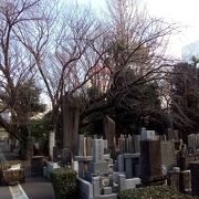 吉祥寺の繁華街に囲まれているのに、広い墓地