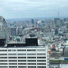 展望室からの都内風景　網模様のビルは東京モード学院