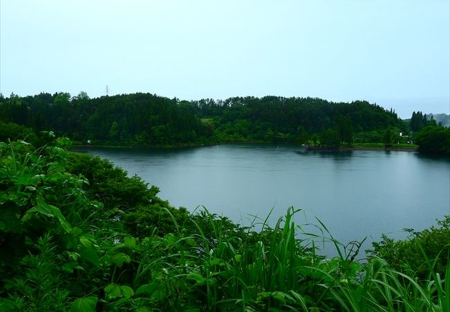 玉虫沼 クチコミ アクセス 営業時間 山辺 中山 フォートラベル