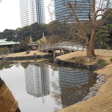 潮入の池中島の御茶屋