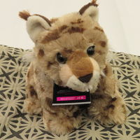 ベッドの上のワンちゃん（買って帰れます）