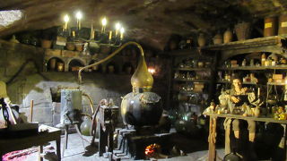 展示室が多くて、誰でも楽しめる