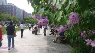 今年は良い天気