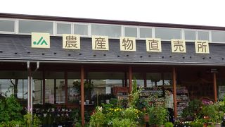 メロンの器のかき氷がある道の駅 （道の駅 湧水の郷しおや）