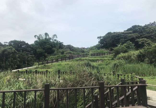 自然あふれる道でハイキング