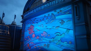 ちょっと酔いました