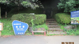 うっそうと生い茂る森の中にありました