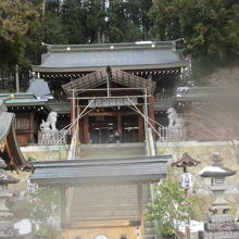 かっこいい狛犬です