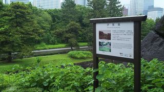 海が見えた坂道