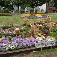 花フェスタ 16 で花壇めぐり 札幌 北海道 の旅行記 ブログ By Ake Bingaさん フォートラベル