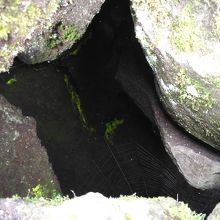 岩場の中で光っていたヒカリゴケ