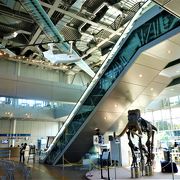 `琵琶湖鳥人間コンテスト`の実物あるのにはビックリ！