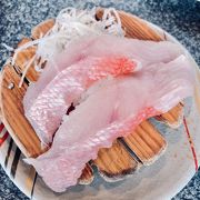 地魚が味わえる人気な回転寿し