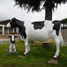 牛さんがお出迎え