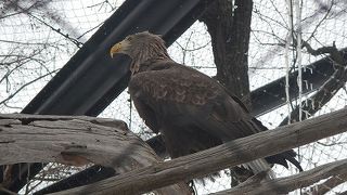 現在は「北海道産動物舎」