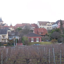 沿線のZellenberg村