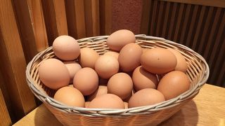 ヴィドフランスの向かい側にあります。