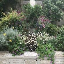 いつもお花がいっぱいです