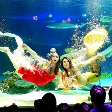 人魚姫のパフォーマンスがすごい By Jio 63シーワールドのクチコミ フォートラベル 人魚姫のパフォーマンスがすごい By Jio 63シーワールドのクチコミ フォートラベル
