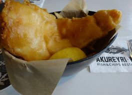 アークレイリ フィッシュ