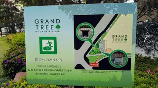 屋上庭園の花壇が綺麗でした By 温泉大好き グランツリー武蔵小杉のクチコミ フォートラベル