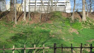 歌懸稲荷神社の裏手