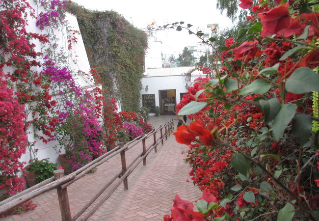 インカ遺物貴重品、庭園＆レストラン